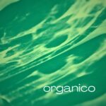 Organico: la música como reflejo del entorno
